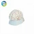 Import IN-301Medical science teaching anatomical brain model from China