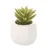 Import Indoor & Outdoor Decoration Artificial Succulent Potted Plant Faux Succulent Bonsai on Sale from China