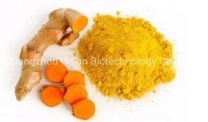 Ingredient Plant Turmeric Extract 95% Curcumin Powder CAS 458-37-7