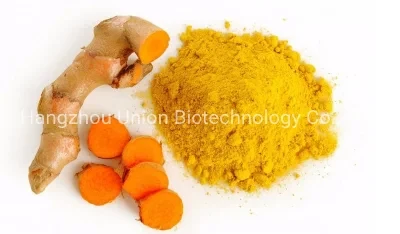 Ingredient Plant Turmeric Extract 95% Curcumin Powder CAS 458-37-7