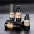 Import Ins Fashion Cosmetic Longwearing Black Bronze Pigment Flawless Coverage Makeup Liquid Foundation from China