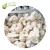 Import IQF Frozen Riced Cauliflower Wholesale in Bulk from China