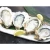 Import Japanese wholesale natural live frozen shellfish from Japan from Japan