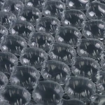 JiJiD Hot Sale Bubble film Shockproof Cushioning Material  60*33 Protective Air Bubble Film Wrap Roll packing With Logo