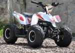 Koshine brand new 50cc kick start atv for sale with CE certificate