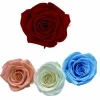 Large Size 9-10 cm Ecuador Preserved Fresh Eternal Cut Black Roses For Flower Velvet Round Gift Box Wholesale On Sale