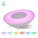 LED Light Surround Sound Ukuran Box Speaker 4 inch 8 inch