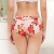 Import Low MOQ Young Girls underwear One Piece Ice Silk Women Seamless Floral Panties breathable ultrathin Invisible Printing Thong from China