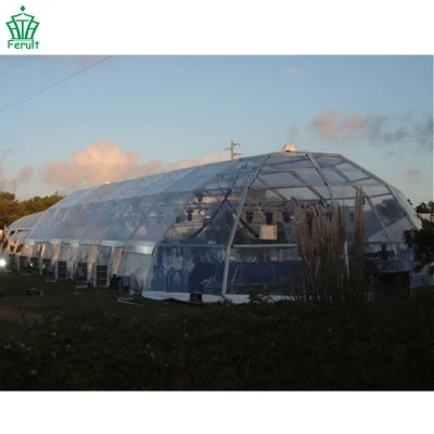 Luxury Transparent Marquee Tent with Lining for Outdoor Wedding Party