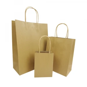 Machine Made Twisted Handle Brown Paper Gift Bags