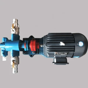 Manufacturer Direct Sales Light oil gear pump Gasoline gear pump Diesel gear pump Overall explosion-proof Made in China