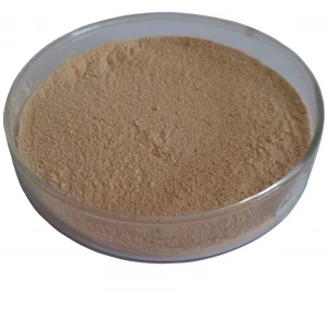 Manufacturers In China Ginsenosides 7% HPLC Panax Ginseng Root In Herbal Extract