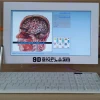 medical software free download touch screen 9d nls quantum health analyzer auto full body health analyzer