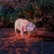 Import Metal silhouette Pig outdoor solar light iron from China