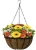 Import Metal wire hanging basket with coco liner from China