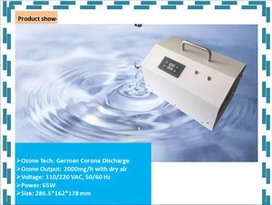 Mini Ozone Water Purifier Machine Generator Air Water Purifier Disinfection with CE Certificate for Room Air Purifier