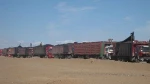 Mongolian Coke Coal in Best Price with Supply License