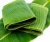 Import NATURAL BANANA LEAVES FROM VIET NAM/ WS +84 939 879 760 from China