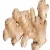 Import Natural Ginger Wholesalers And Suppliers from India