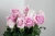 Import Natural kenya roses fresh cut flower buyer from china from China