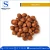 Import Natural Taste Quality Blanched Hazelnut/Hazel Nut at Low Price from South Africa