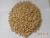 Import new crop 2018 650 count  pine nut kernels from China