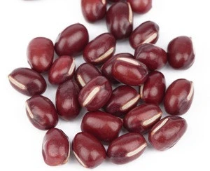 New Crop Adzuki Beans