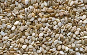 New Crops Bangladeshi Natural Sesame Seed