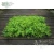 Import New design custom jungle style vertical plant wall artificial hanging plant Green grass wall home decoration from China