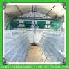 New design save energy automatic quail battery cages for sale