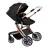 Import new model travel system egg shape 3 in 1 baby stroller with reversible carrycot from China