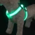 Import New Pet Products Reflective LED Dog Collar Light Up Dog Collar from China
