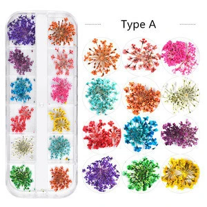 New Pressed Dry Flowers Nail Art 3D Natural Real Dried Flowers For Nails Decoration Wholesale Suppliers