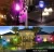 Import New solar garden light flame torch light RGB color for pathway IP65 waterproof energy saving ABS backyard path light from China