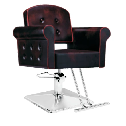 New Style Hydraulic Styling Chair 225