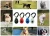 Import New Upgrade Version Dog Training Clicker With Wrist Strap Clicker Training from China