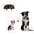 Import New Wholesale Designer Adjustable Electronic Training Pet Dog Collar from China
