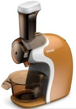 Nice Fruit Ice cream maker