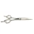 Import NnieCS From China Factory Stainless Steel Safety Beauty Salon Hair Scissors from China