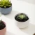 Import Nordic Wholesale Modern Porcelain Living Room Flower Pot Unique Ceramic Succulent Plant Pot from Pakistan