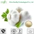 odorless garlic extract supplier,allicin 25%
