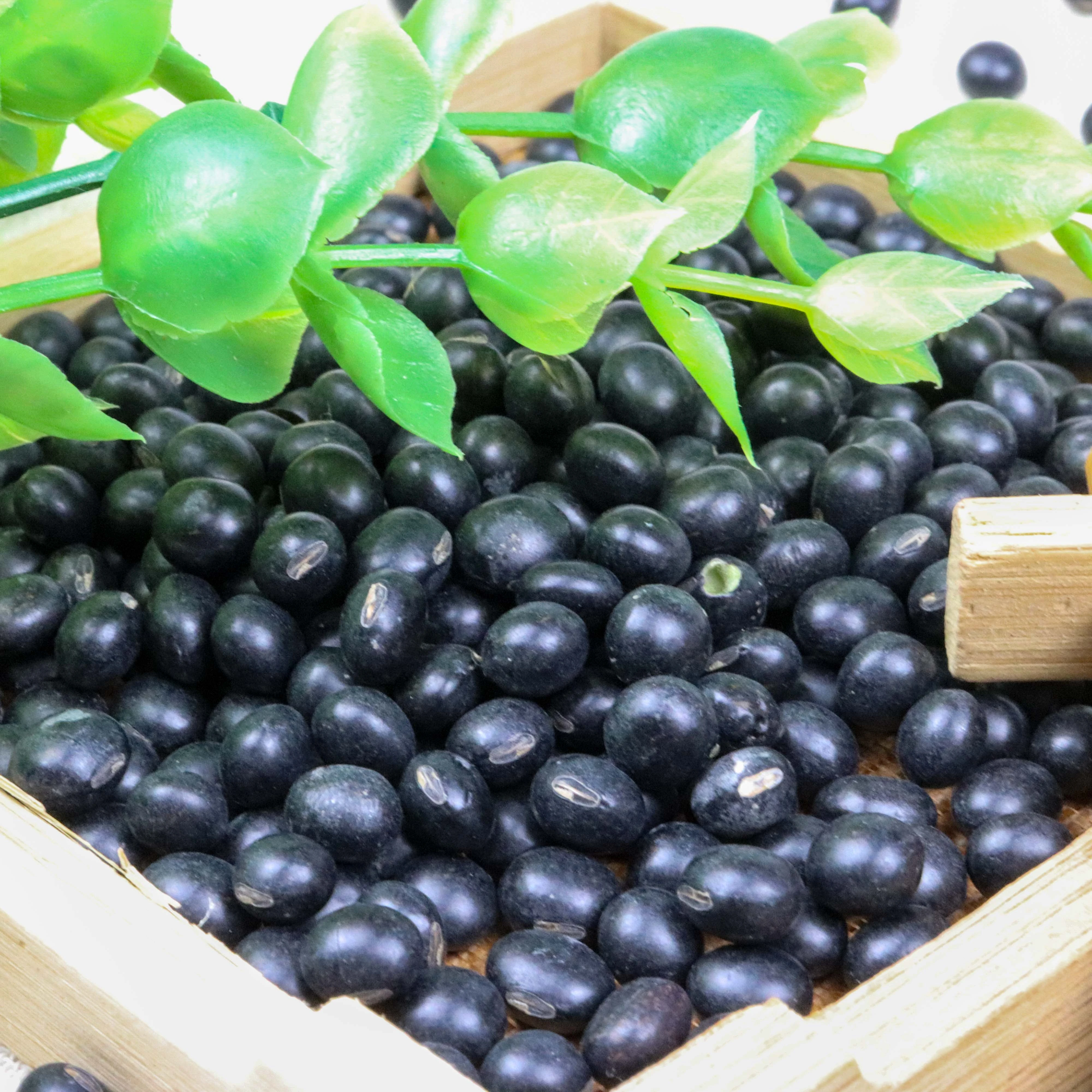 Organic black bean China product