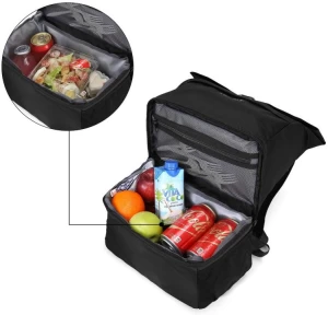 Outdoor activity picnic lunch cooler backpack