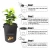 Import Personalized Biodegradable Round Non Woven 4 Gallon Felt Black Green Nursery Plant Grow Bags from China
