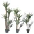 Import Plastic artificial bonsai snake plant agave artificial ornamental plant for indoor decoration from China