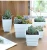 Plastic Square Nursery and Seedling Pot Container Seed Starting Transplant Planter with Drain Hole for Succulents