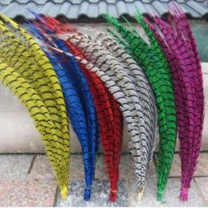 PM-256 Various sizes natural Pheasant Feather