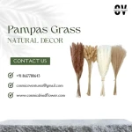 Popular Natural Dried Flowers Colorful Artificial Pampas Grass Flower Pompous Decoration For Wedding Christmas Holiday