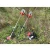 Import Portable gasoline Brush Cutter/Grass Trimmer/Lawn mower from China