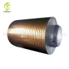 Prepainted galvanized steel GI GL PPGI PPGL HDGI coils and plate in china